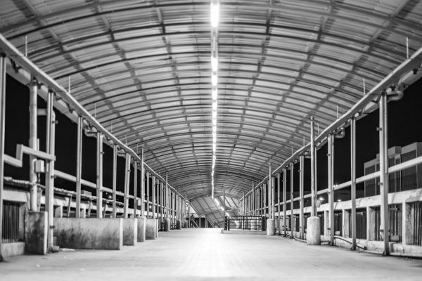 placeholder2 Coperture