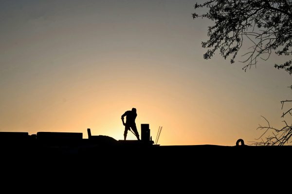 placeholder3 Bonifiche